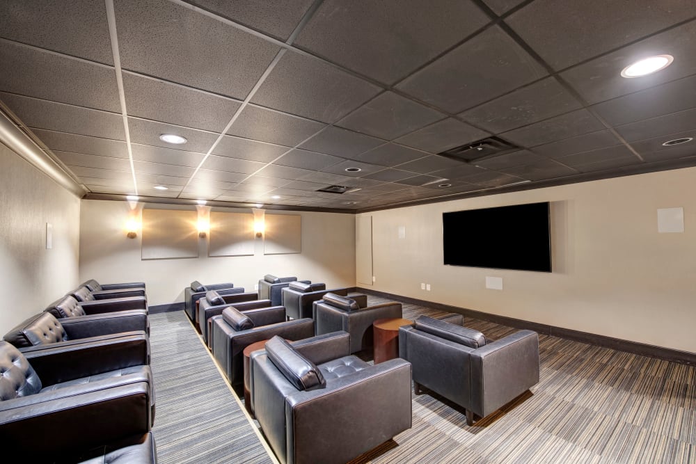 Theater at Apartments in Herndon, Virginia