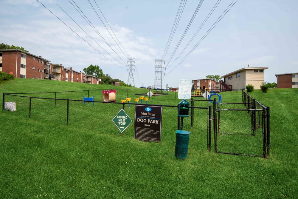 Dog park with agility equipment at Glen Ridge Apartment Homes in Glen Burnie, Maryland