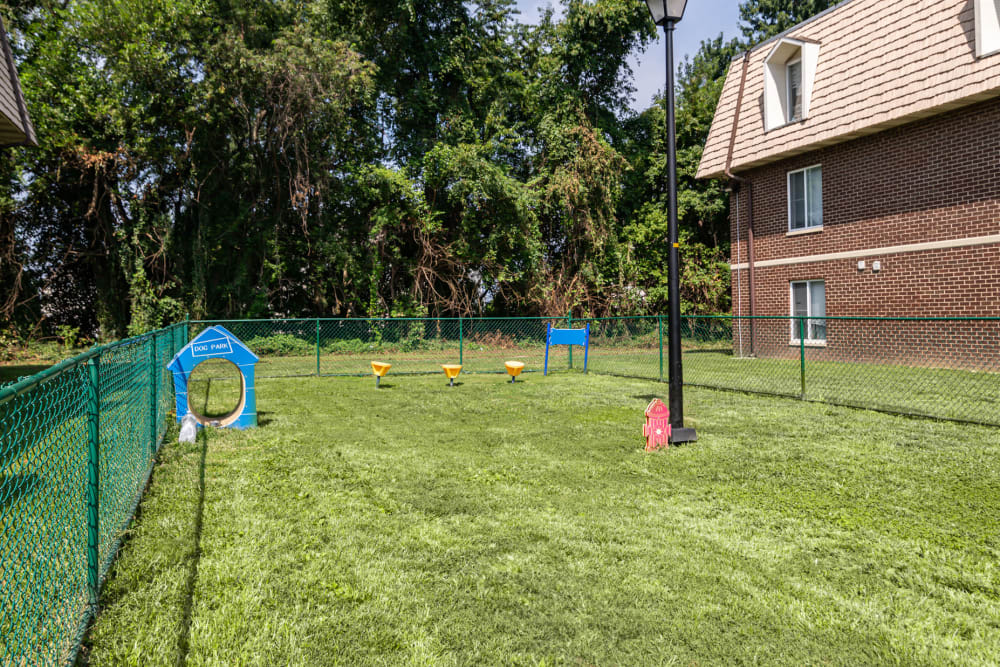 Country Village Apartment Homes offers a Dog Park in Dover, Delaware