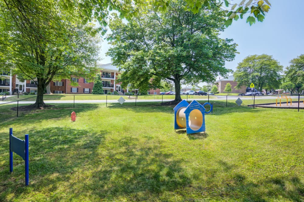 Fenced dog park with agility courses at Woodacres Apartment Homes in Claymont, Delaware