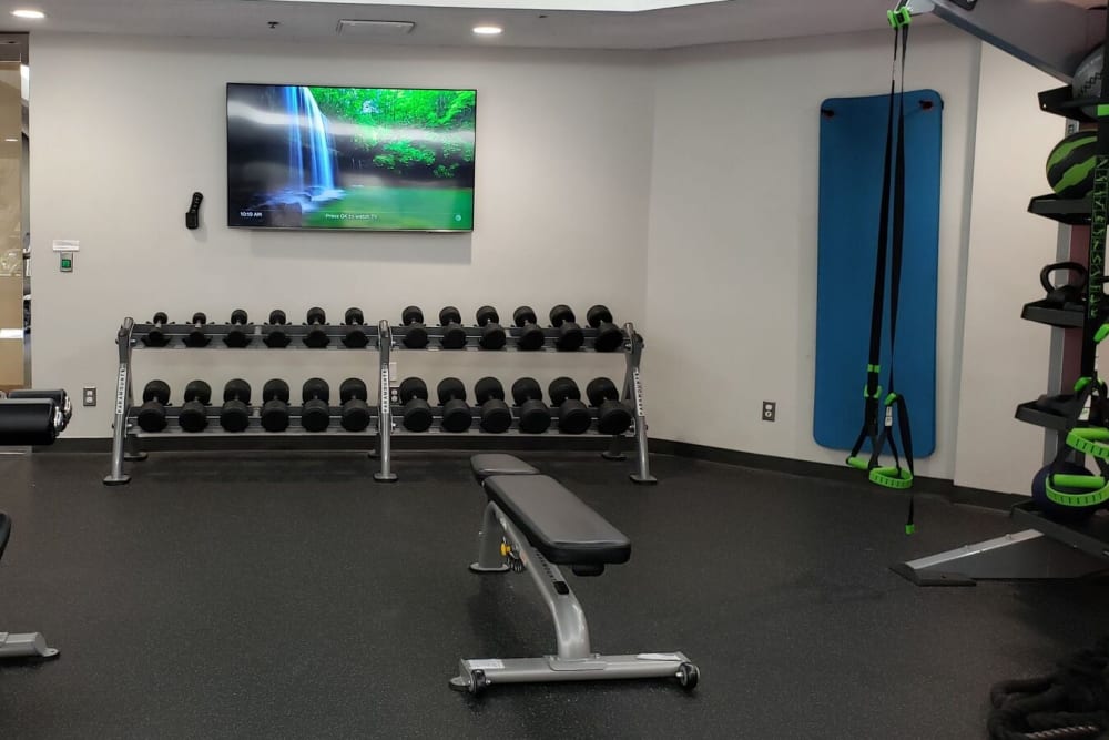 Fitness center with a tv and weights at Promenade Towers in Los Angeles, California