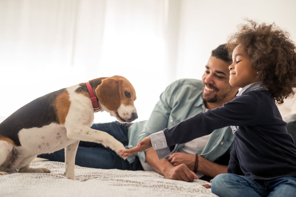 A father and his child with their dog in their apartment at Village at Glenhaven in Greenwood, South Carolina