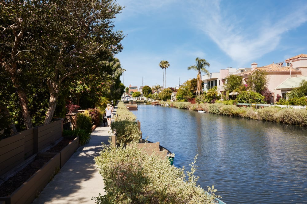 Aerial view of wetlands near Dolphin Marina Apartments in Marina Del Rey, California