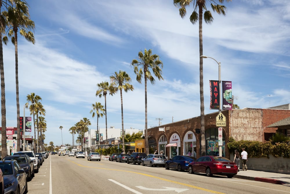 Abbot Kinney Blvd near Dolphin Marina Apartments in Marina Del Rey, California