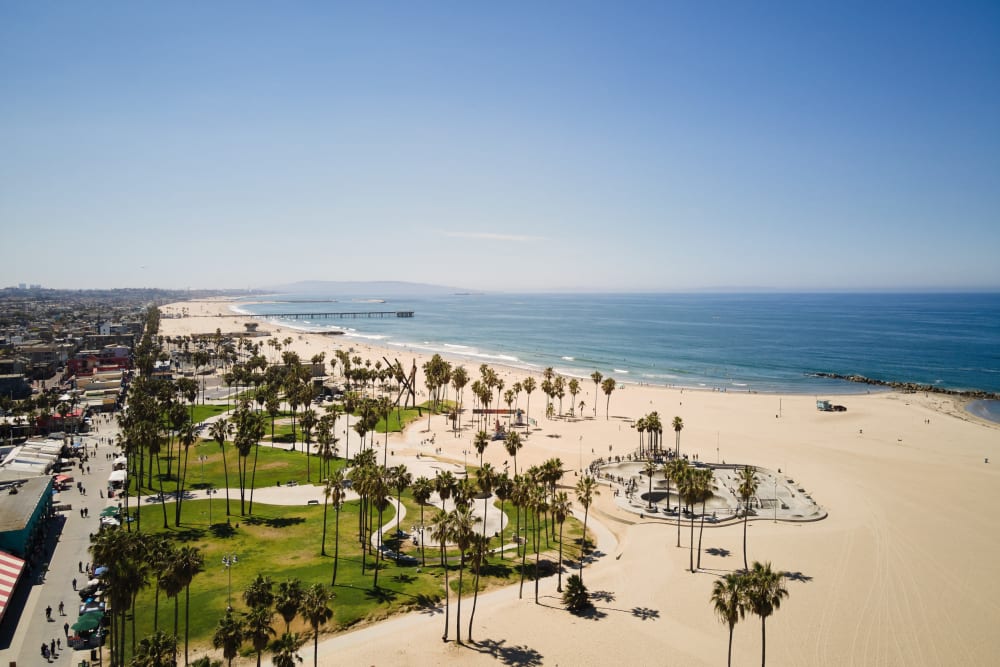 Venice Beach near Dolphin Marina Apartments in Marina Del Rey, California