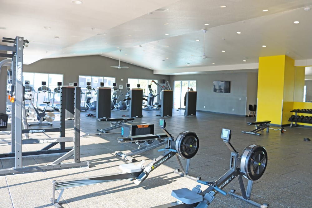 Fitness center with cardio machines at The Quarters at Iowa City in Iowa City, Iowa