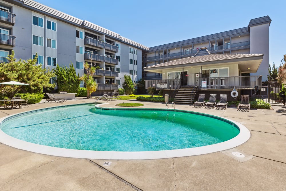 Refreshing Pool at Tower Apartment Homes in Alameda, California