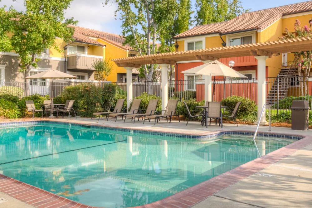 Outdoor pool with lounge chairs under a pergola at Peppertree Apartments in San Jose, California