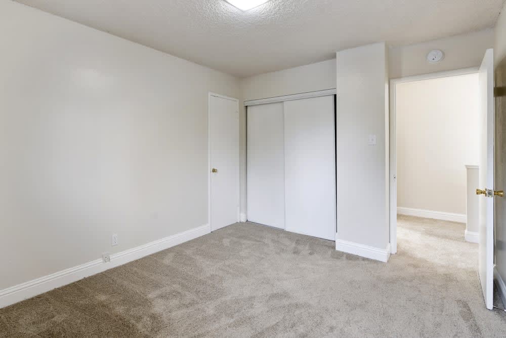 Bedroom with plush carpeting and large closets at Parkway Apartments in Fremont, California
