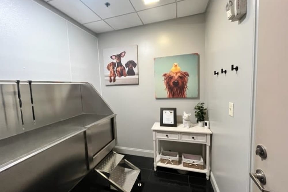 Dog Wash at Goldelm at 414 Flats in Knoxville, Tennessee