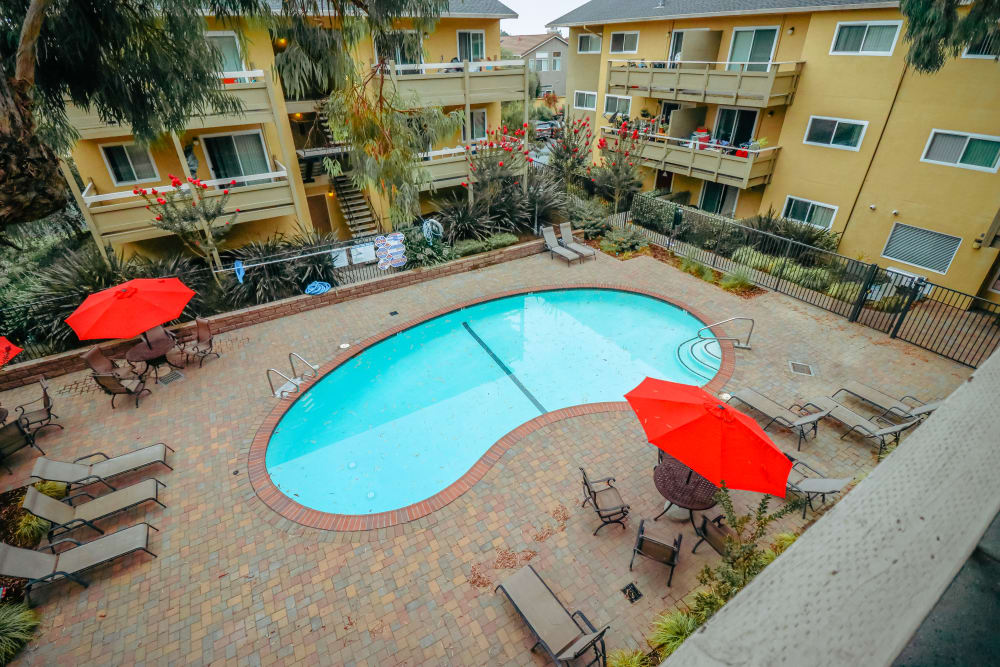 Pool with umbrellas and lounge chairs in interior courtyard at Bayfair Apartments in San Lorenzo, California