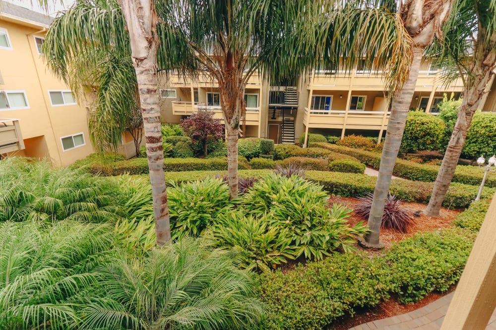 Lush interior courtyard at Bayfair Apartments in San Lorenzo, California