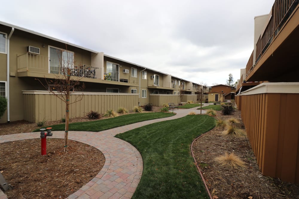 Courtyard and path at Mountain View Apartments in Concord, California