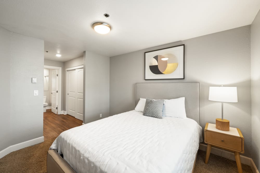 Model bedroom with plush carpeting and a large closet at Summerhill Terrace Apartments in San Leandro, California