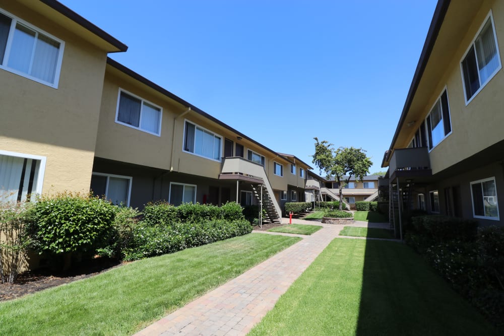 Path between buildings at Marina Plaza Apartments in San Leandro, California