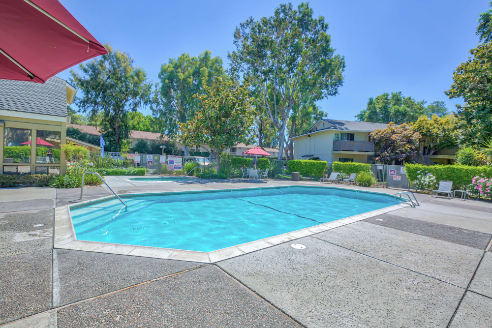 pool at Almaden 1930 in San Jose, California