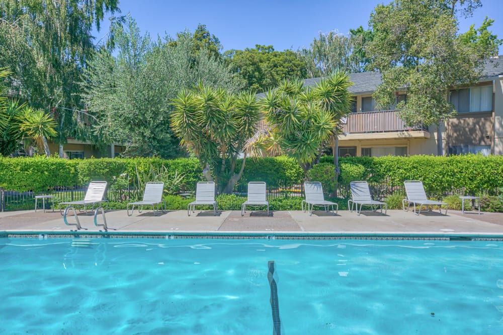 Pool with patio chairs at Almaden 1930 in San Jose, California