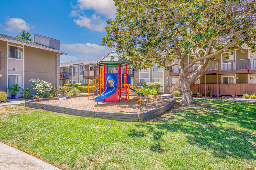 Green space at Orchard Glen Apartments in San Jose, California