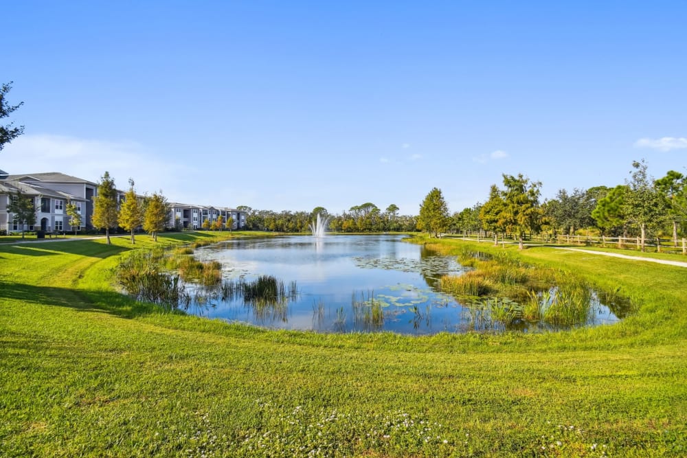 Green space  at Goldelm at Bennett Park in Bradenton, Florida