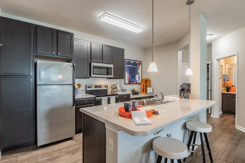 Apartment kitchen with dark cabinets and stainless steel appliances at Art Avenue Apartment Homes in Orlando, Florida