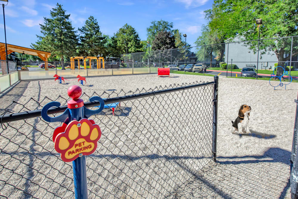 Have fun with your furry friend in the dog park at Royal Farms Apartments in Salt Lake City, Utah