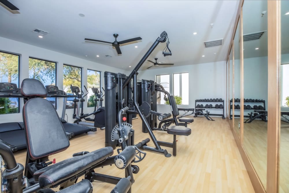 Fitness Center with Resistance Training Equipment