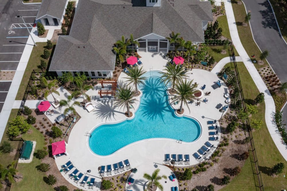 Aerial view of the pool and deck at Makara Orlando in Orlando, Florida