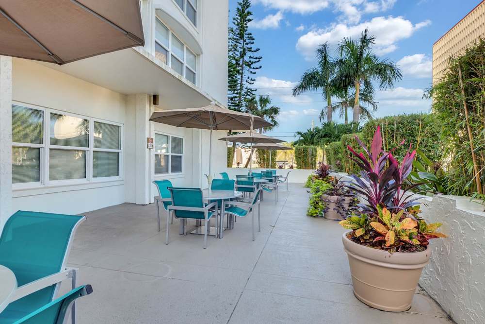 Beautifully landscaped patio with seating at Bay Pointe Tower in South Pasadena, Florida