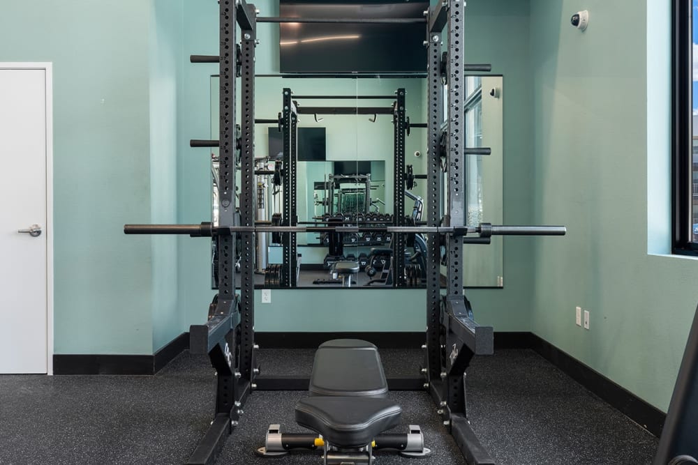 Weight lifting equipment in the fitness center at Cielo