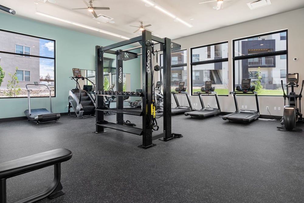 Modern gym fitness room with large windows and treadmills at Cielo in Santa Fe, New Mexico