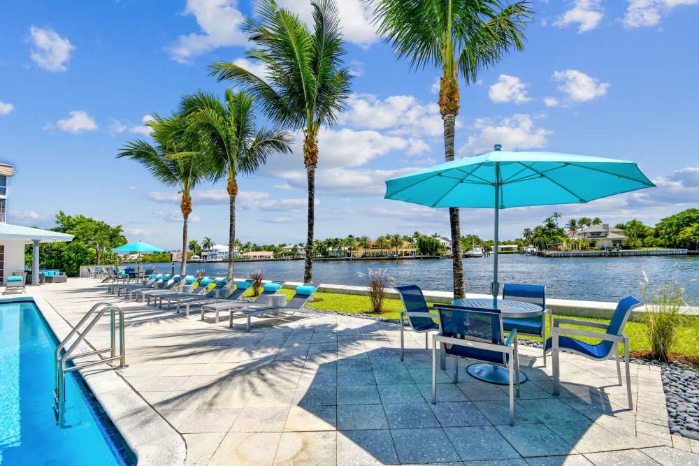 Scenic views of palm trees by the pool at Bermuda Cay in Boynton Beach, Florida
