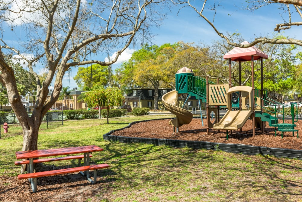 Children's playground at Briarcrest at Winter Haven in Winter Haven, Florida