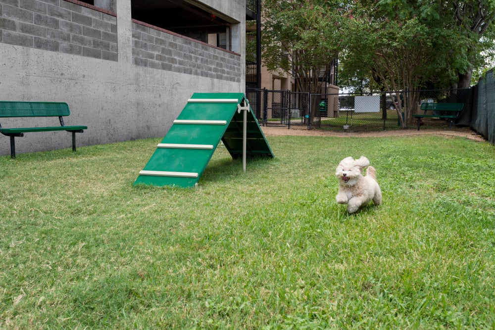Dog park at The Vintage in San Antonio, Texas
