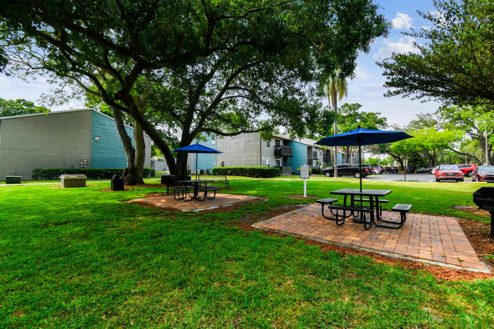 Courtyard with picnic tables at Coopers Pond in Tampa, Florida