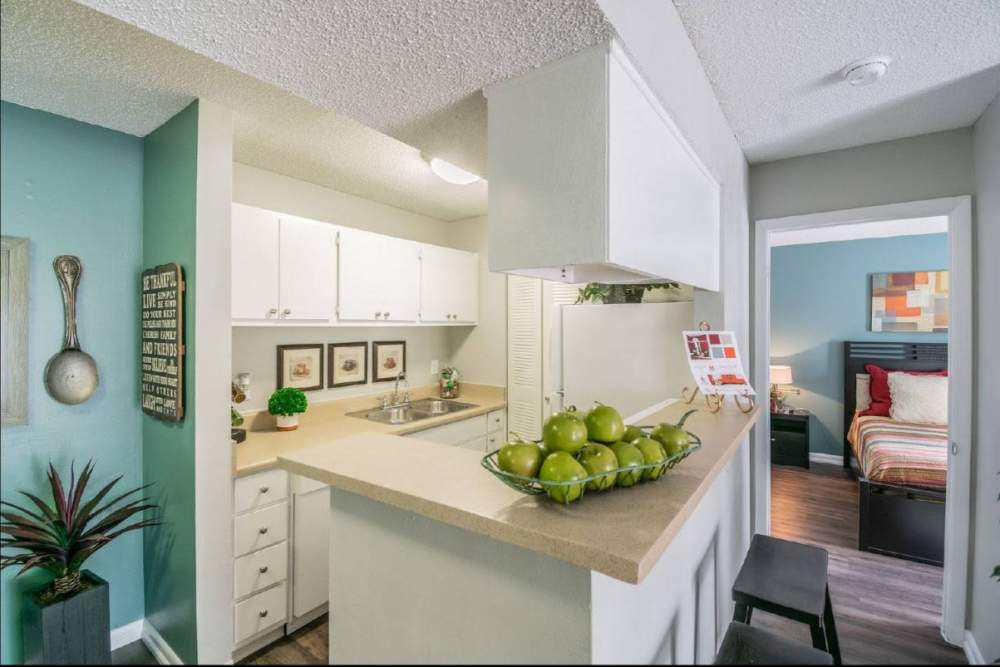 Fully equipped kitchen with white cabinetry and decorative bowl of apples at Coopers Pond in Tampa, Florida