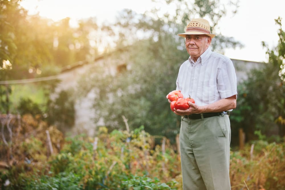 Resident with potatoes in the garden at Vista Prairie at Ridgeway in New Ulm, Minnesota