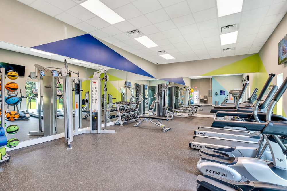 Community gym with cardio machines and free weights at Lakeside Central Apartments in Brandon, Florida
