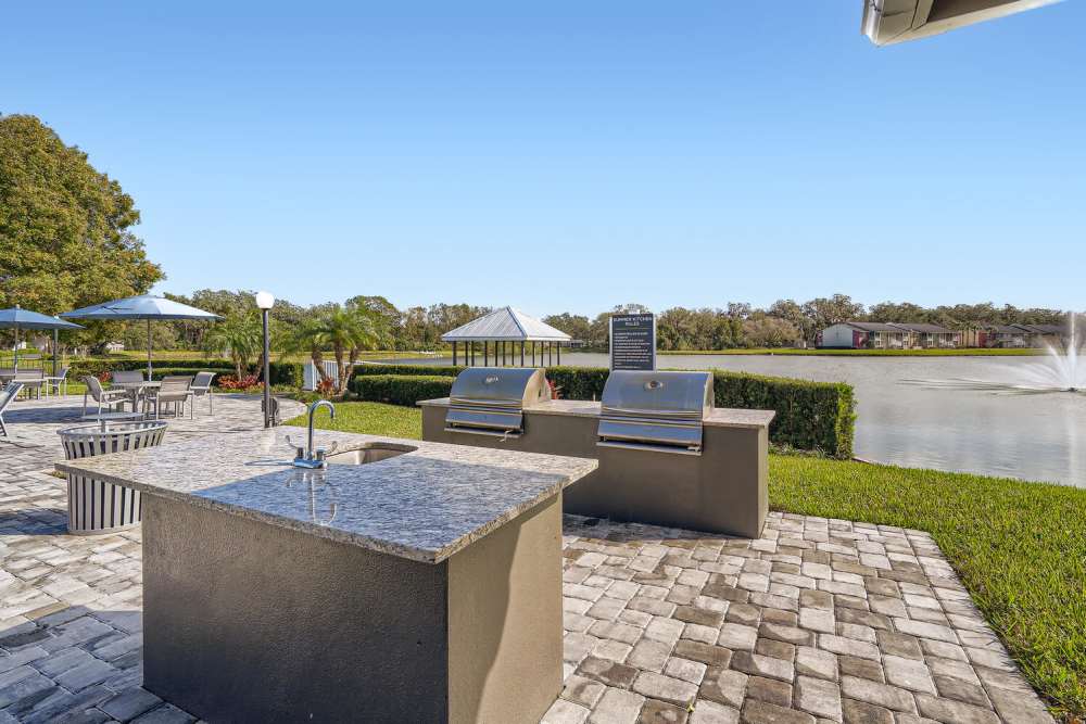 Outdoor grilling station at Lakeside Central Apartments in Brandon, Florida