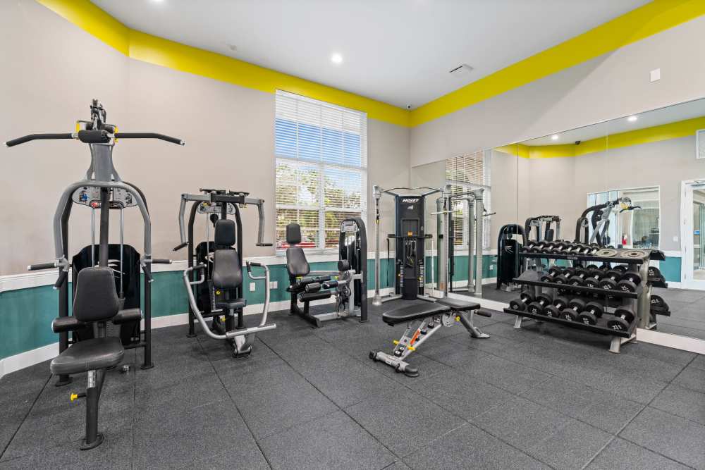 Community fitness center with weight machines at Nova Central Apartments in Davie, Florida