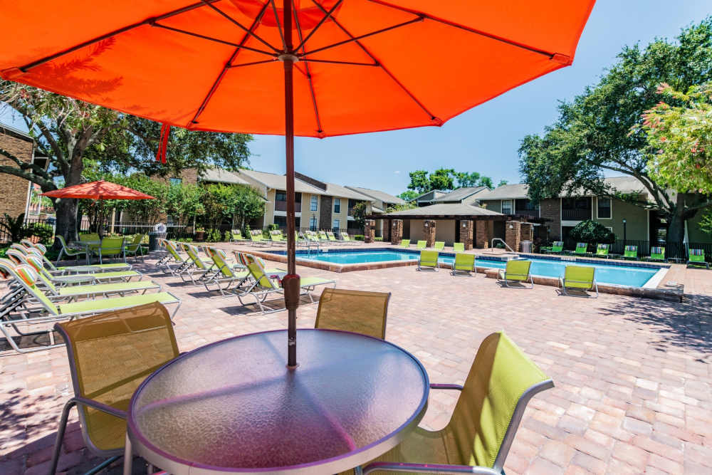Community inground pool with patio furniture at Legend Oaks in Tampa, Florida