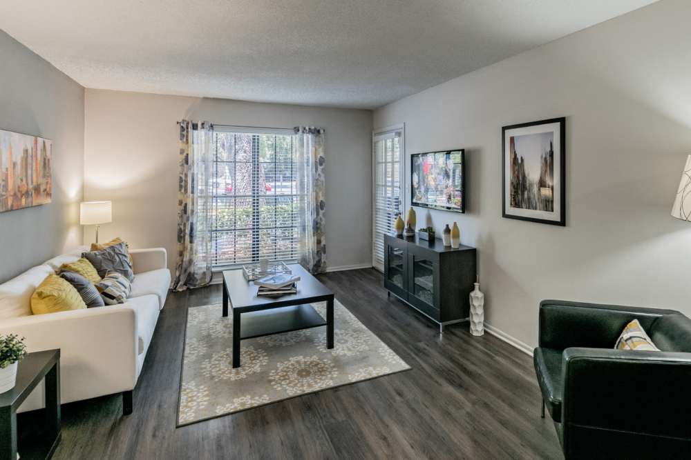 Spacious apartment living room with hardwood floors and large windows at Legend Oaks in Tampa, Florida