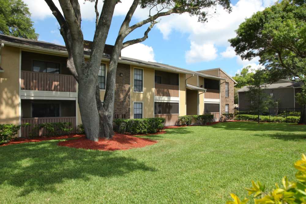 Exterior of apartments with private patios/balconies at Legend Oaks in Tampa, Florida