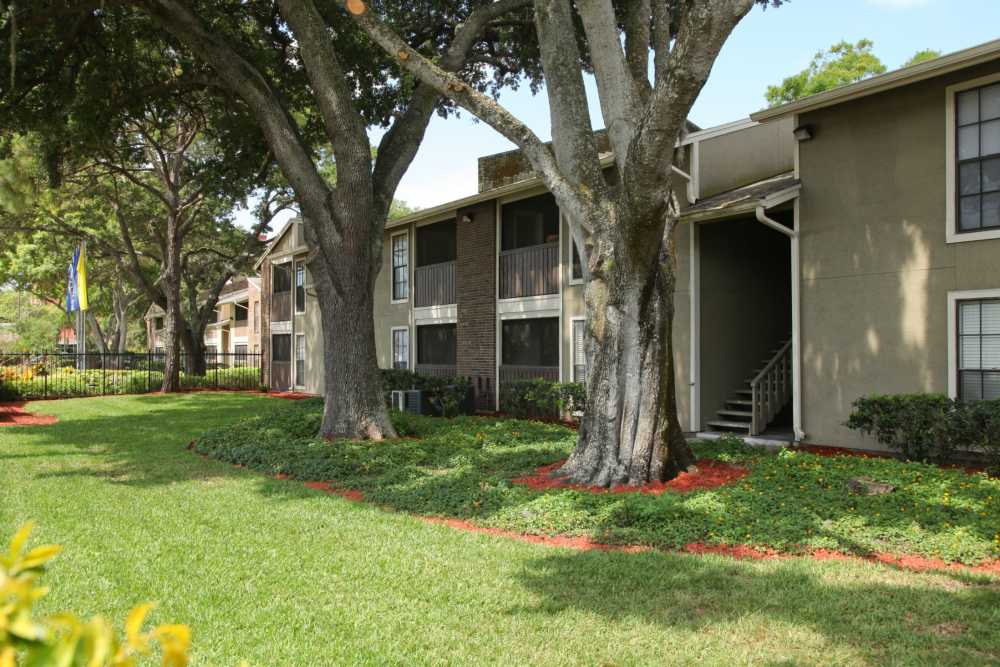Exterior of apartment complex with private patios/balconies at Legend Oaks in Tampa, Florida