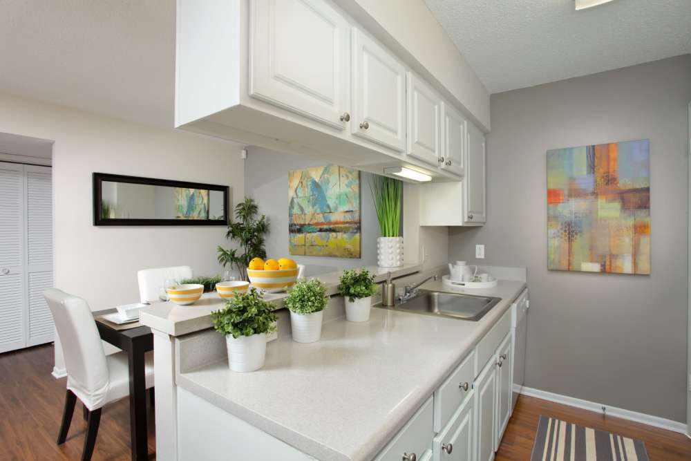 Apartment kitchen with white wood cabinets and lots of counter space at Legend Oaks in Tampa, Florida