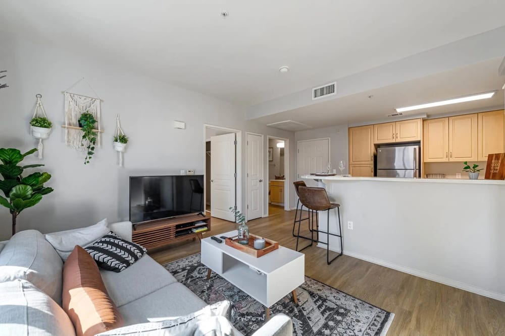 Open layout kitchen and living room of a model apartment with wood-style flooring at K Street Flats in Berkeley, California