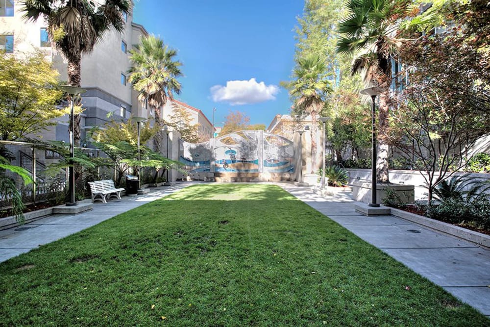 Grassy courtyard at K Street Flats in Berkeley, California