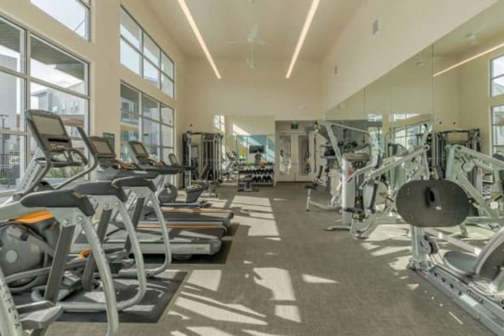 Modern gym fitness room with large windows and treadmills