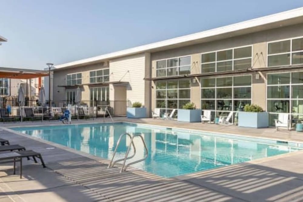 Swimming pool at Hub Apartments in Folsom, California