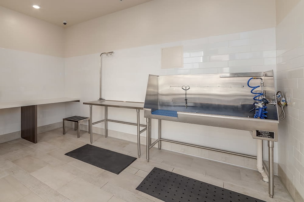 Indoor pet spa with washing drying station at Hub Apartments in Folsom, California