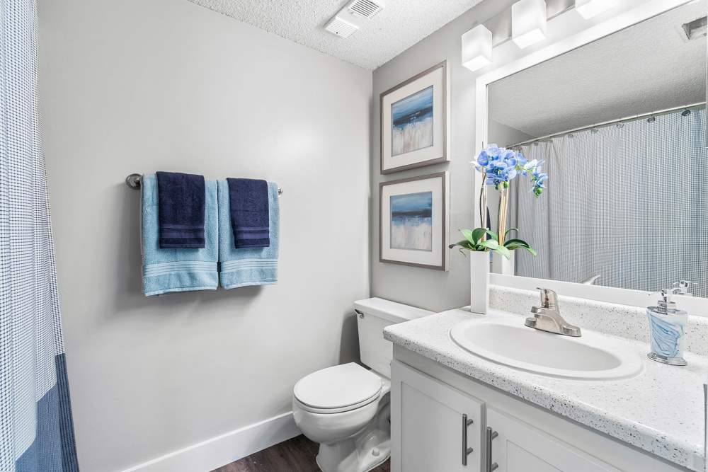 Apartment bathroom with large vanity mirror at Boynton Place Apartments in Boynton Beach, Florida